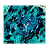 Distinguishing Marks (Print Only) thumbnail