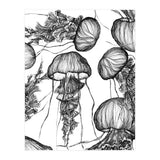 jellyfish (Print Only) thumbnail