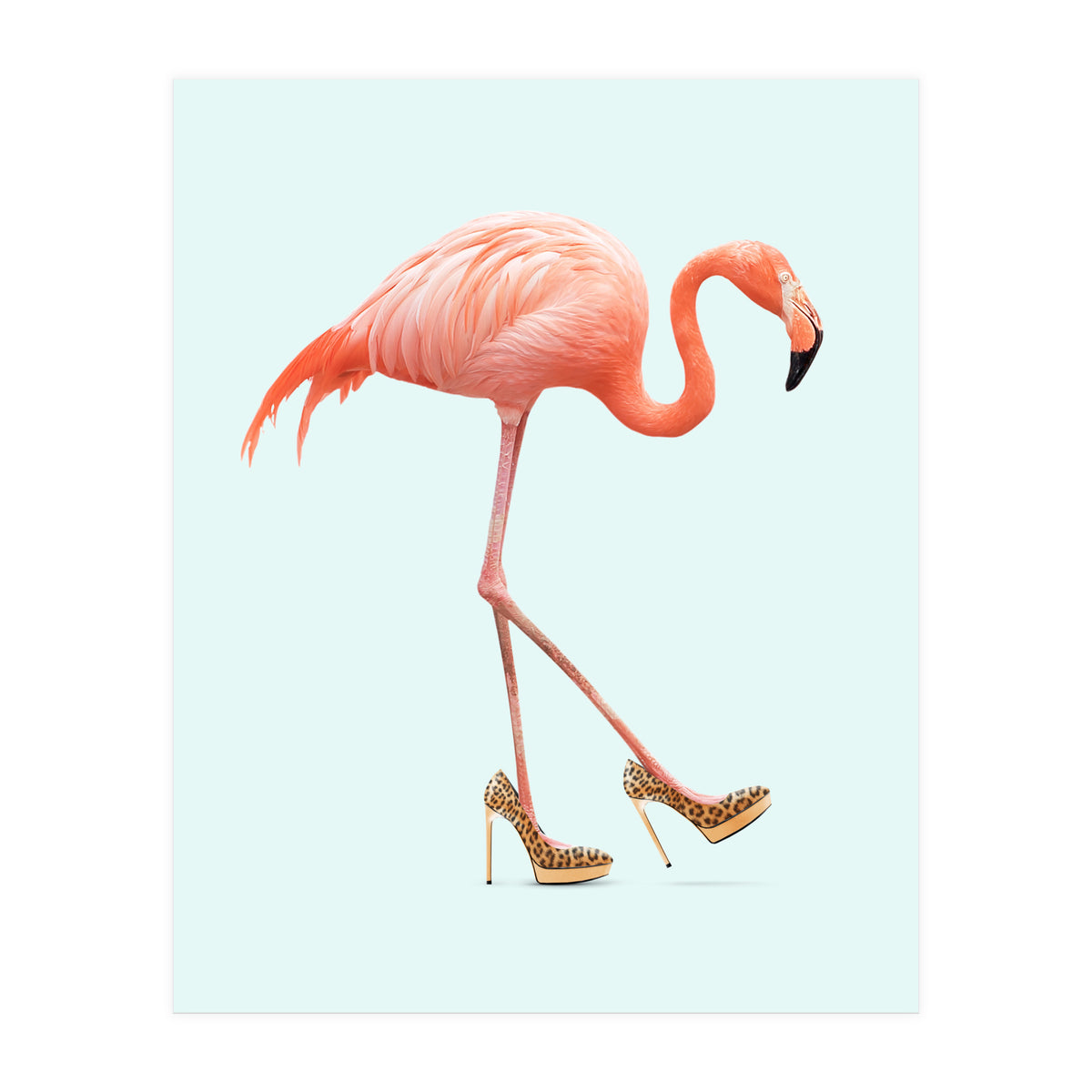 Fancy Flamingo (Print Only)