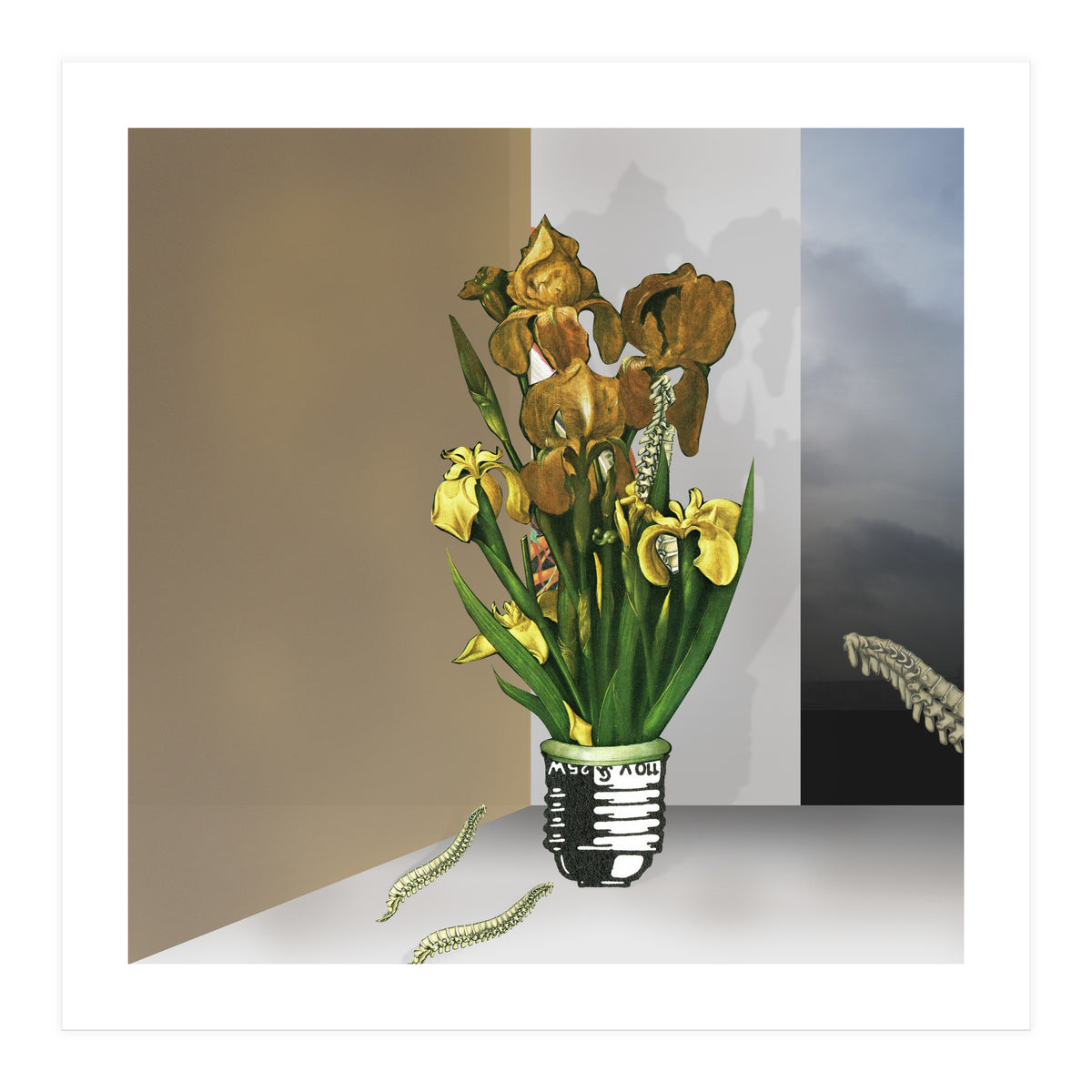 Das Licht Der Pflanze (Print Only)