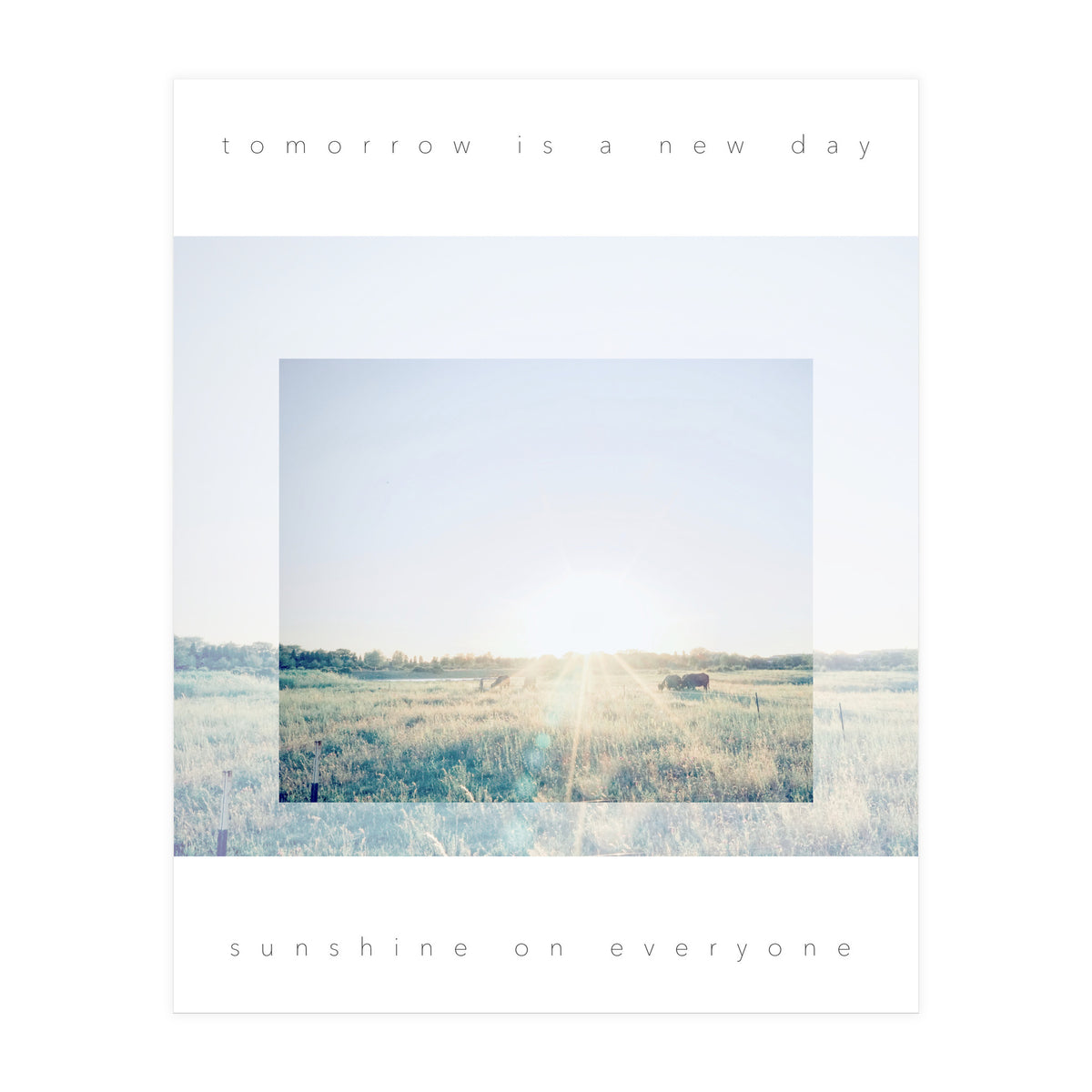 sunshine on everyone (Print Only)