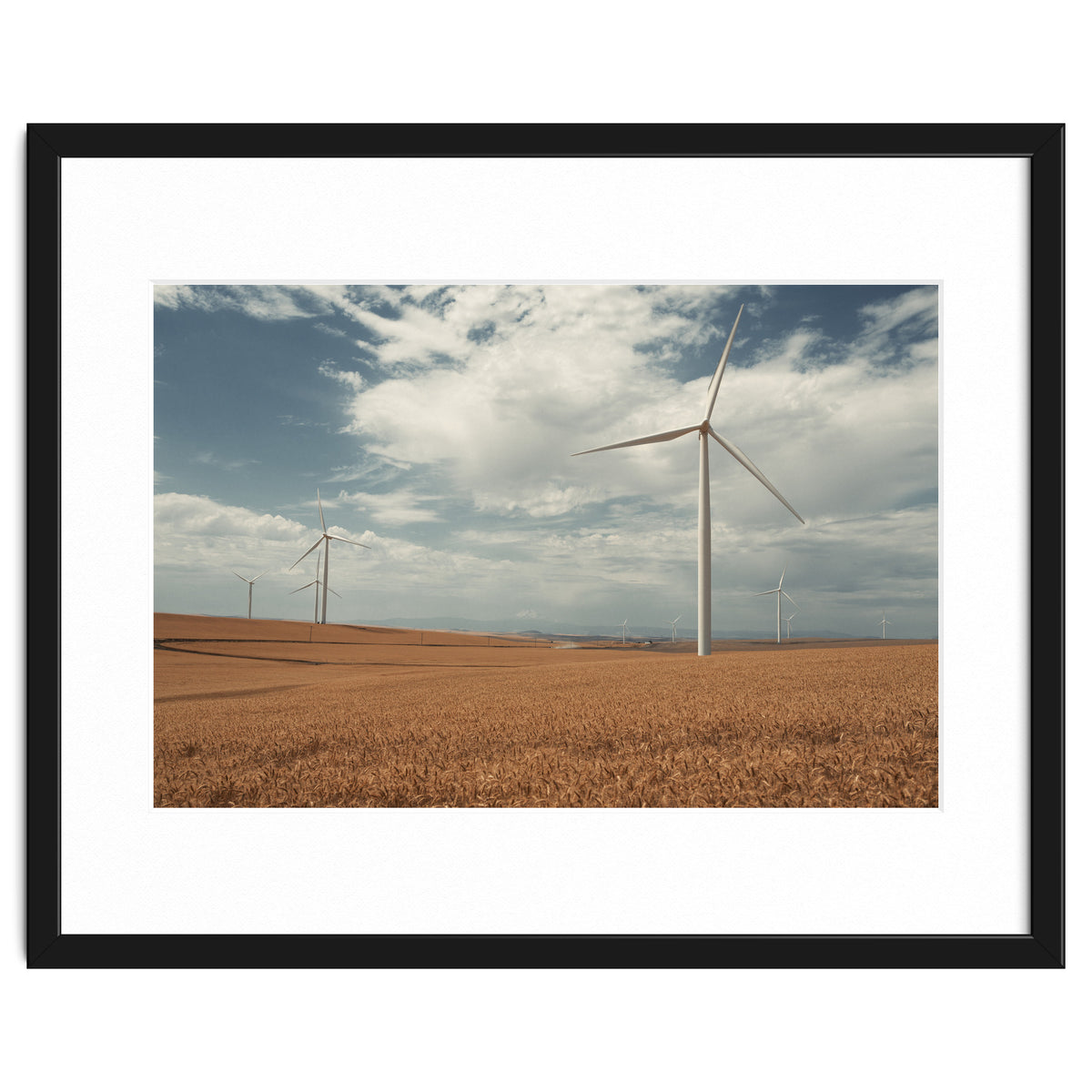 Windmill Farm