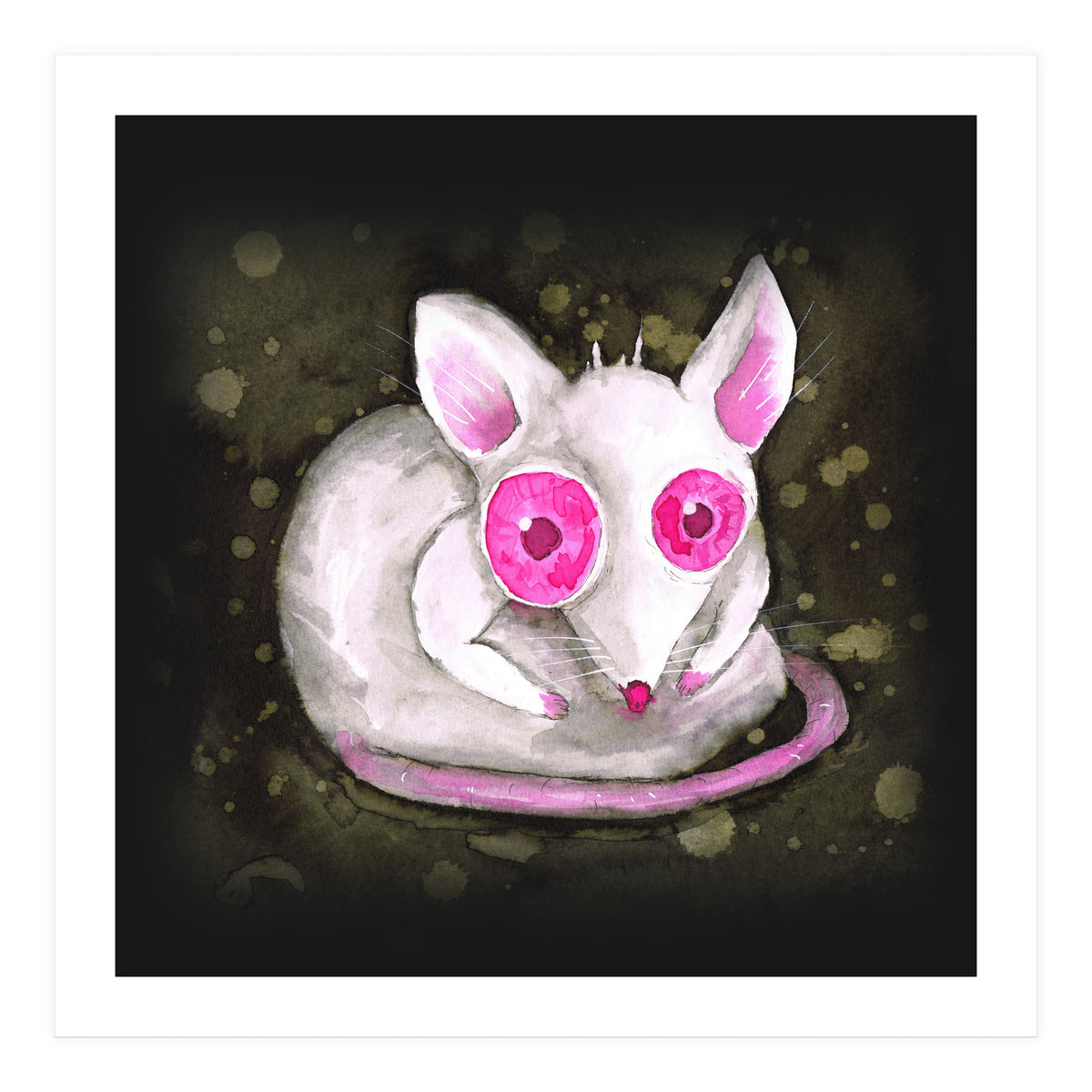 Albino rat (Print Only)