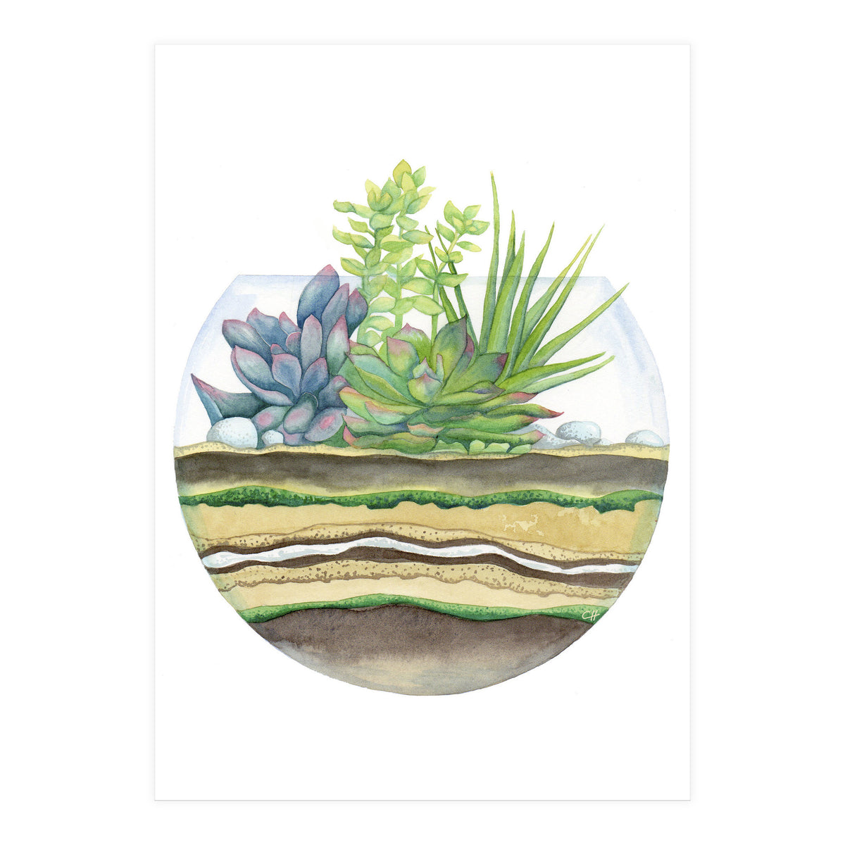 A Little Green Terrarium (Print Only)