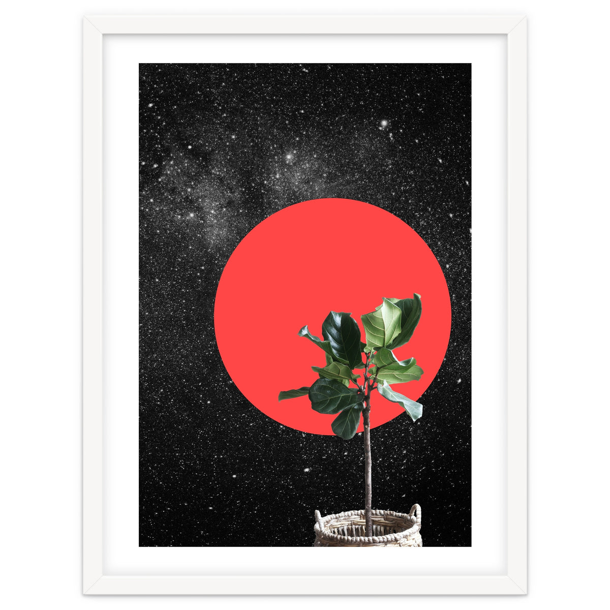 "Bonsai" - Digital Collage