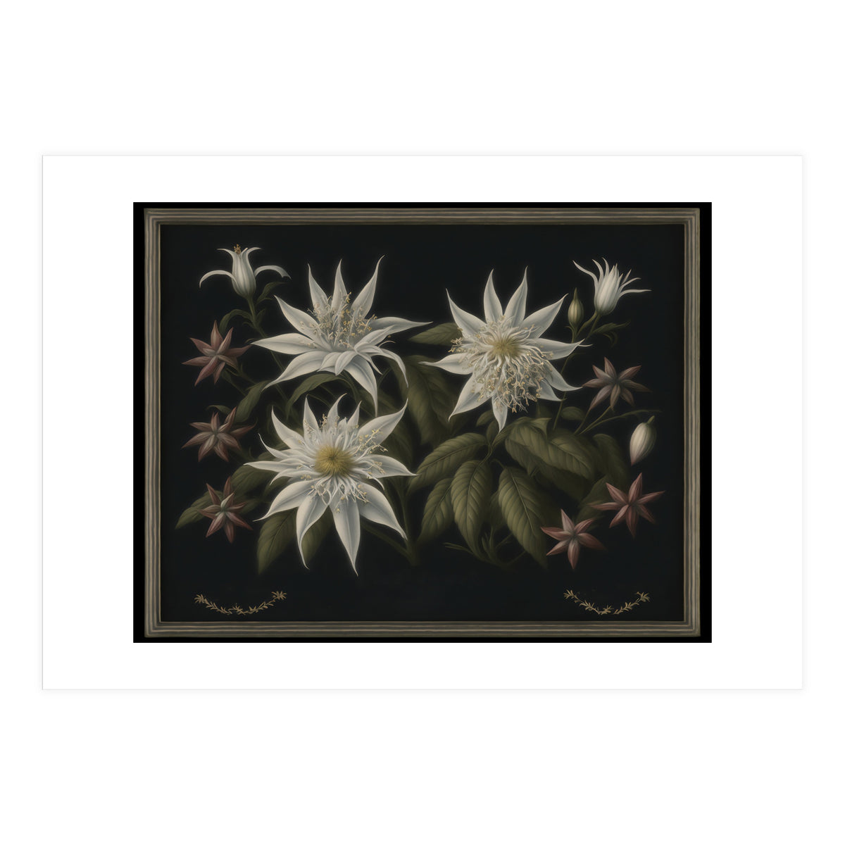 Edelweiss Vintage Illustration (Print Only)