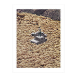 Traffic Jam (Print Only) thumbnail