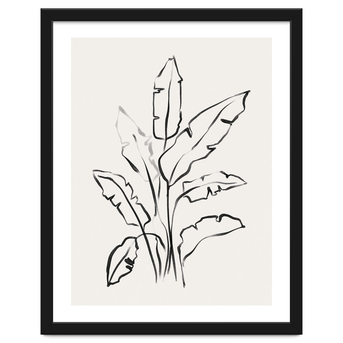 Banana Leafs Drawing