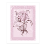 Magnolia - Minimal Contemporary Botanical Floral (Print Only) thumbnail