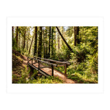 Ewoldsen Trail Bridge  (Print Only) thumbnail