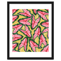 Caladium, Botanical Tropical Nature Plants, Vintage Bohemian Exotic Blush Leaves