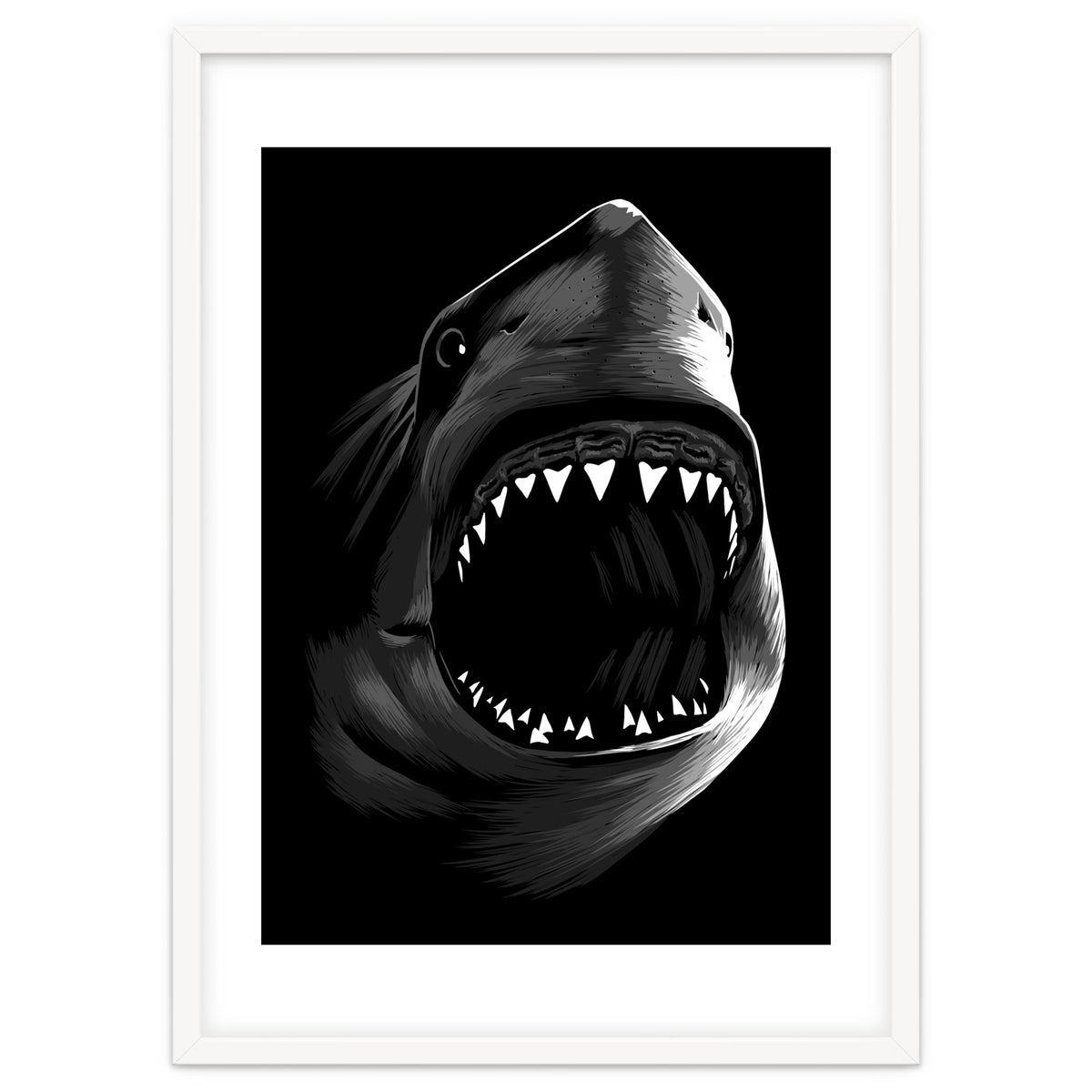 Megalodon