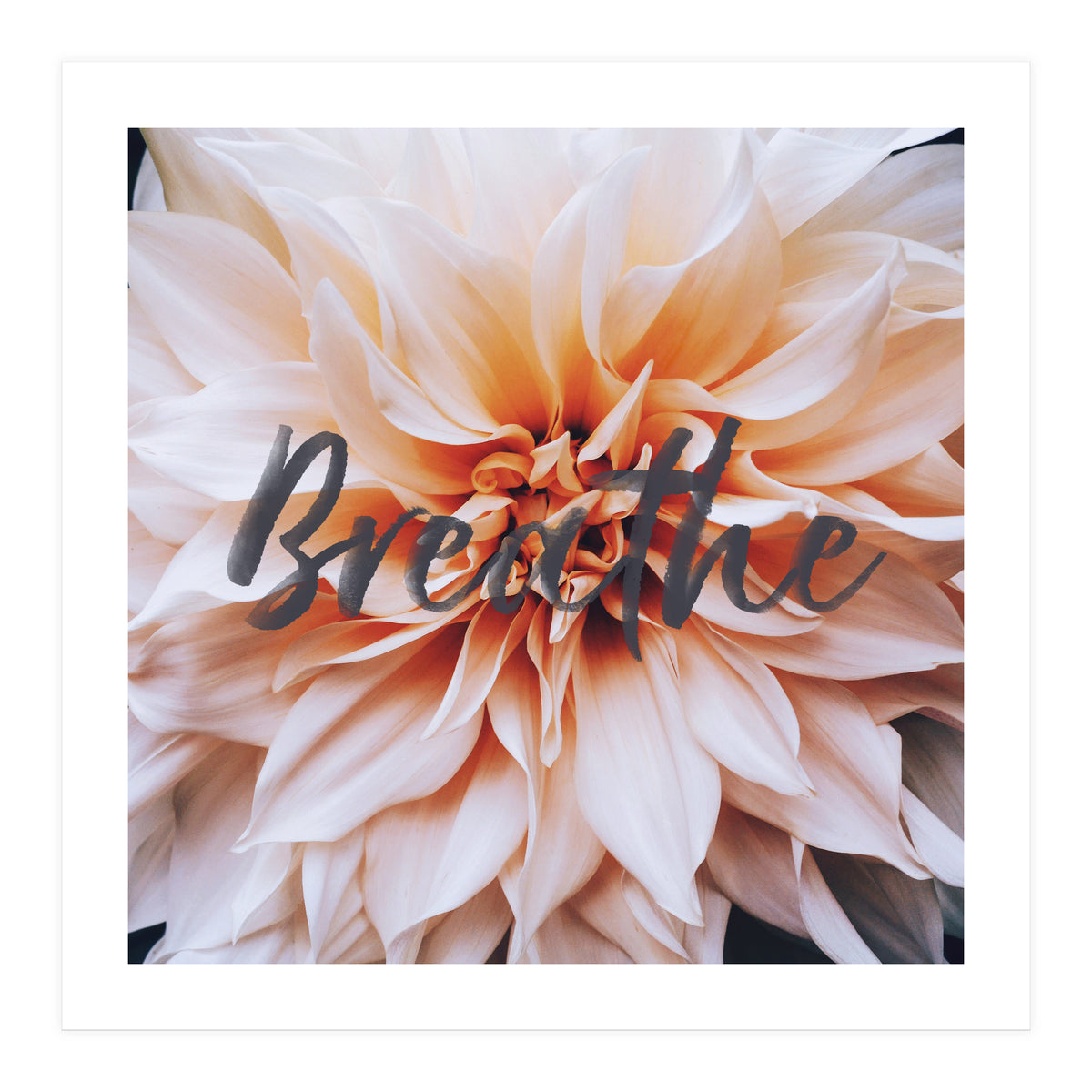 Breathe  (Print Only)