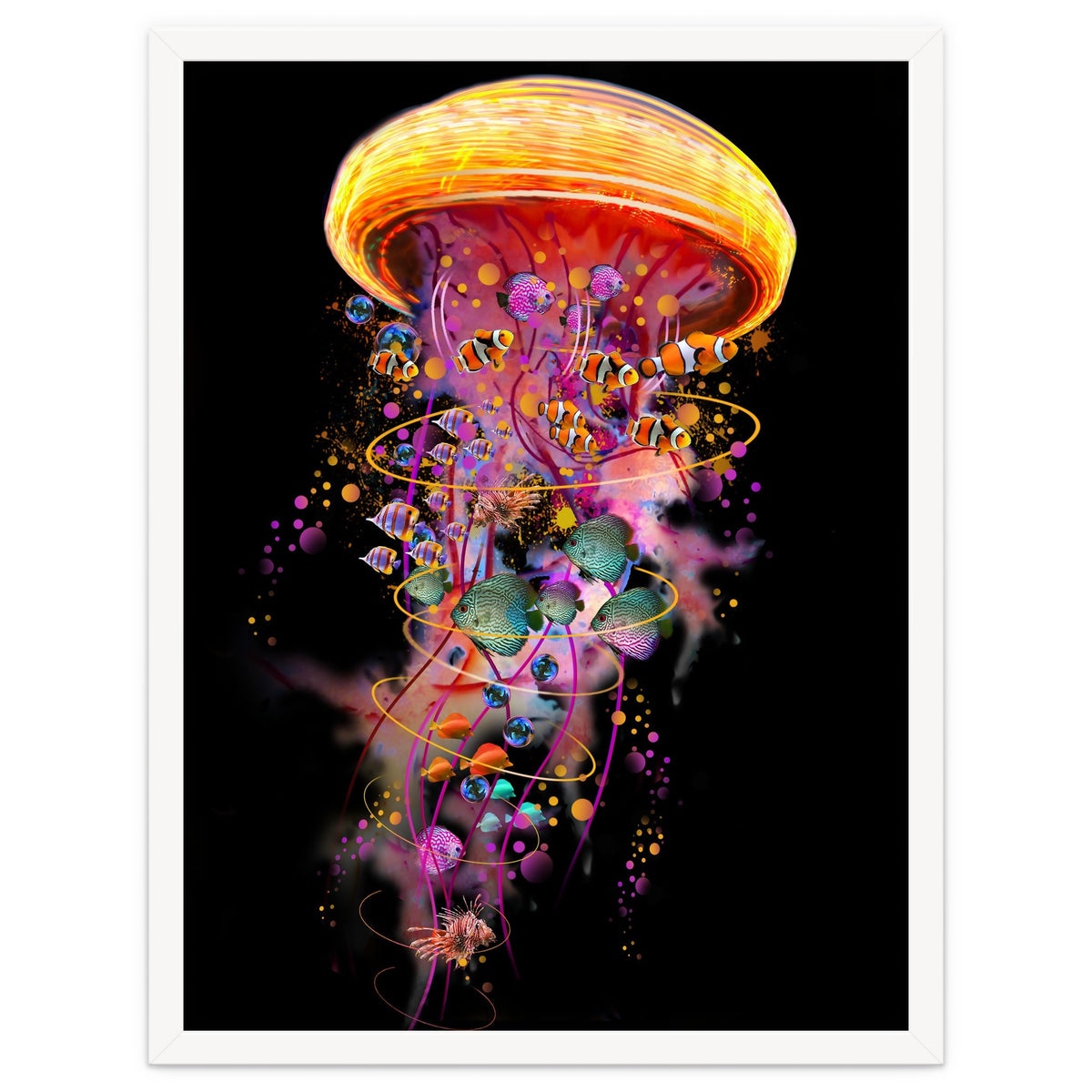 Jelly Fish Ride Summer2018 Dbh