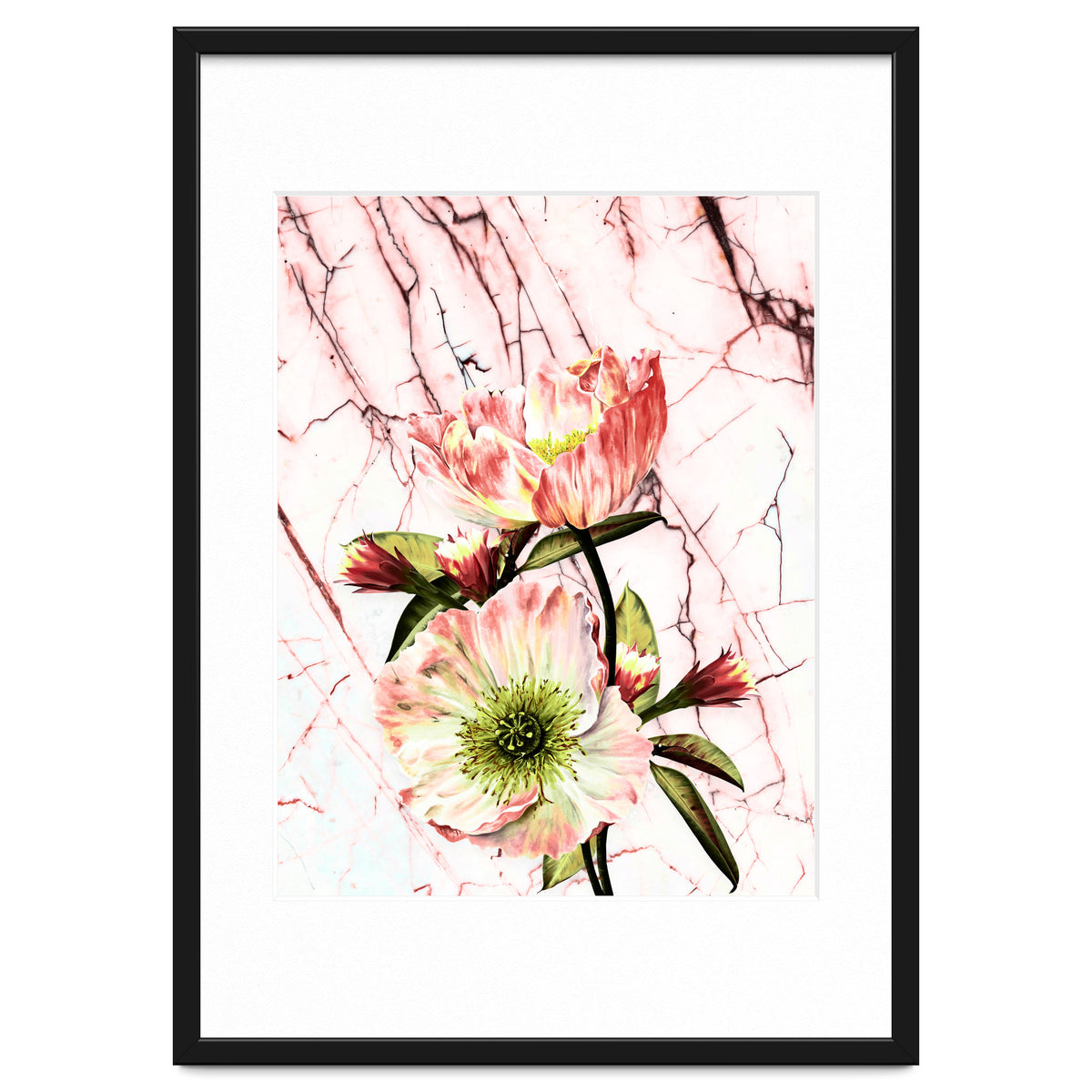 Flowering on pink marble