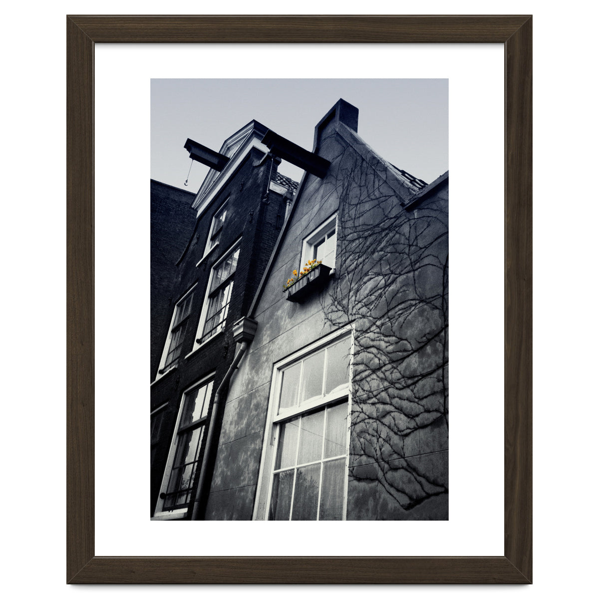 Amsterdam. House With Yellow Flowers.
