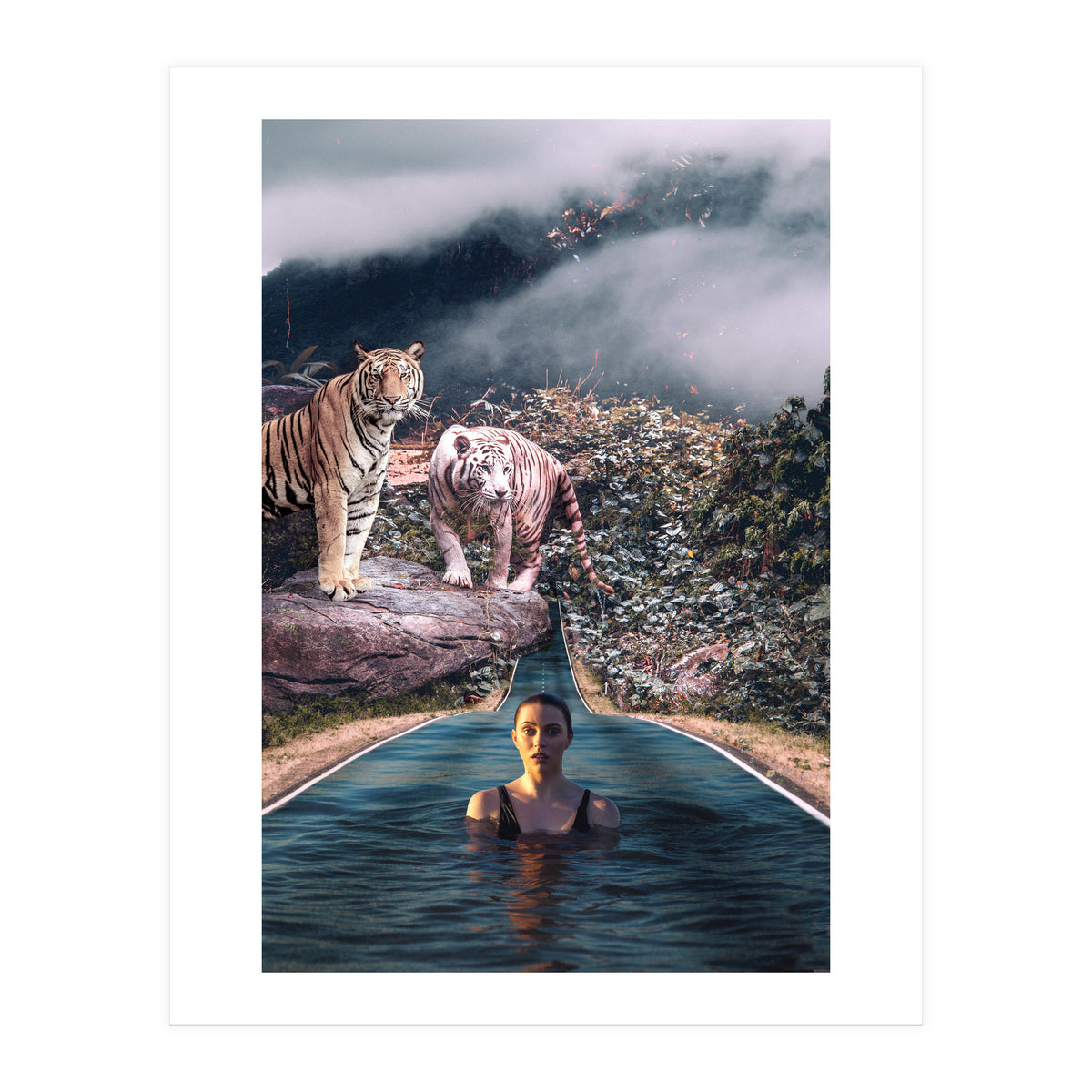 Infinite Pool To Tiger Jungle (Print Only)