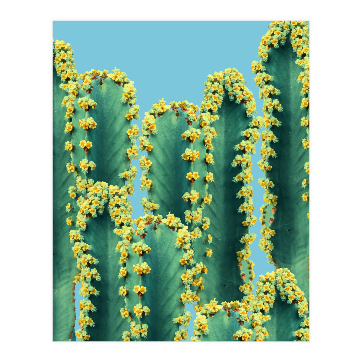Adorned Cactus V2 (Print Only)