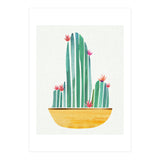 Bowl O' Cactus (Print Only) thumbnail