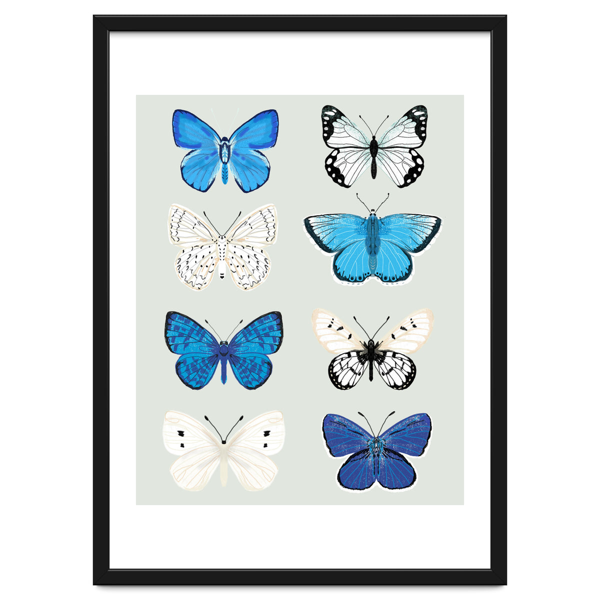 Lepidoptery Study No. 3