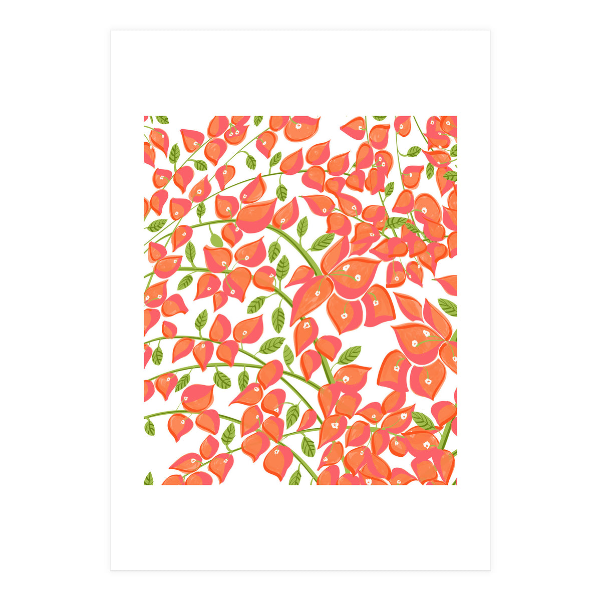 Bougainvillea Blush (Print Only)