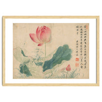 Qing Wangwu Flower album, lotus, lotus leaf, pond, copy of water grass
