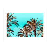 Carla (Print Only) thumbnail
