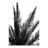 Black and White (Print Only) thumbnail