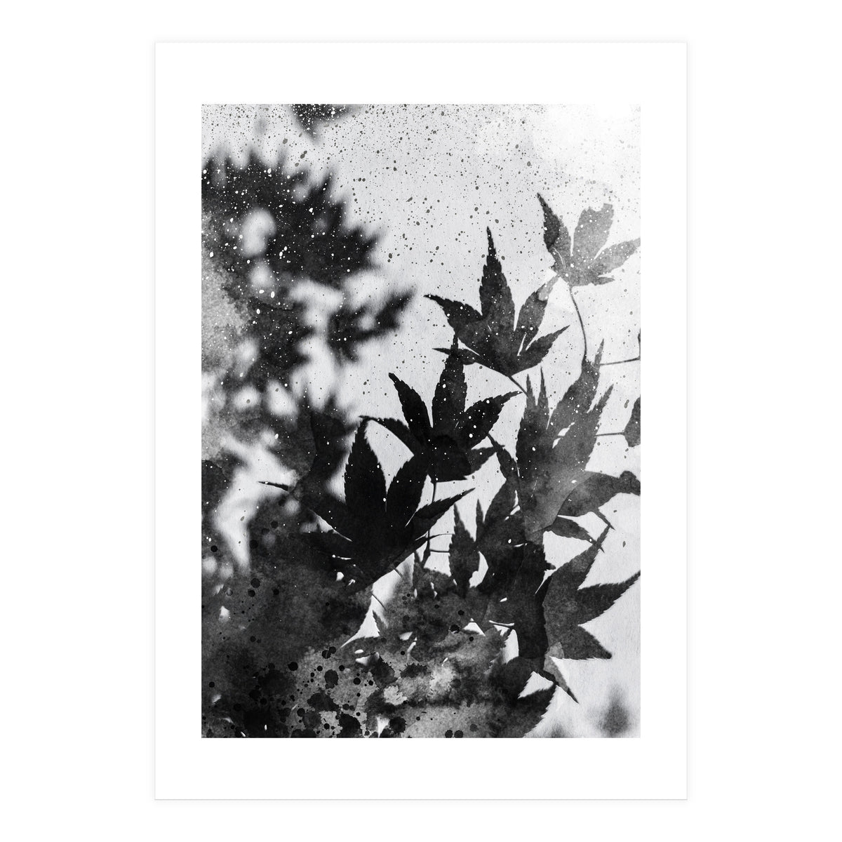 Leaves #2 (Print Only)