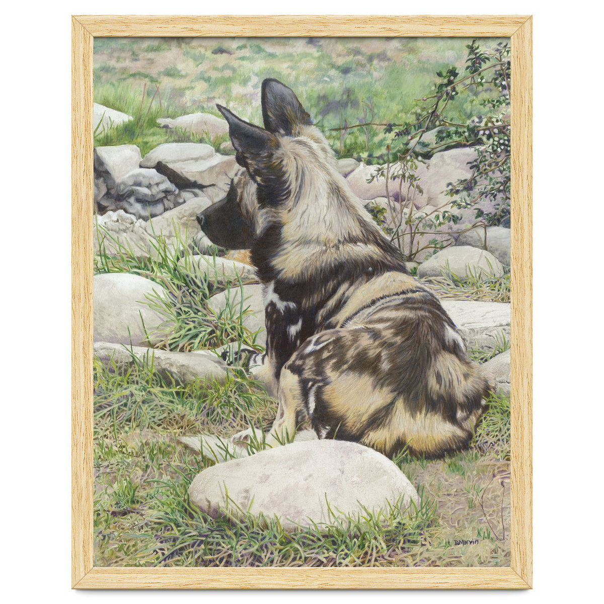 African Painted Dog I