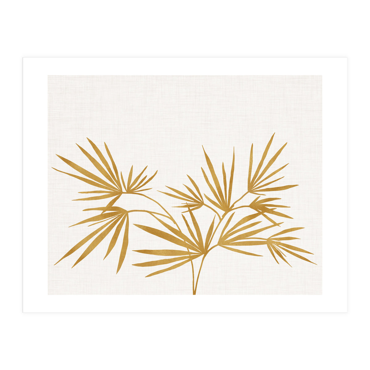 Golden Fan Palm (Print Only)