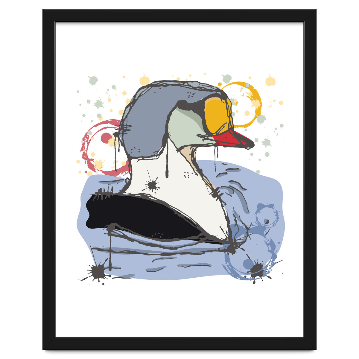 Male King Eider Duck Sketch