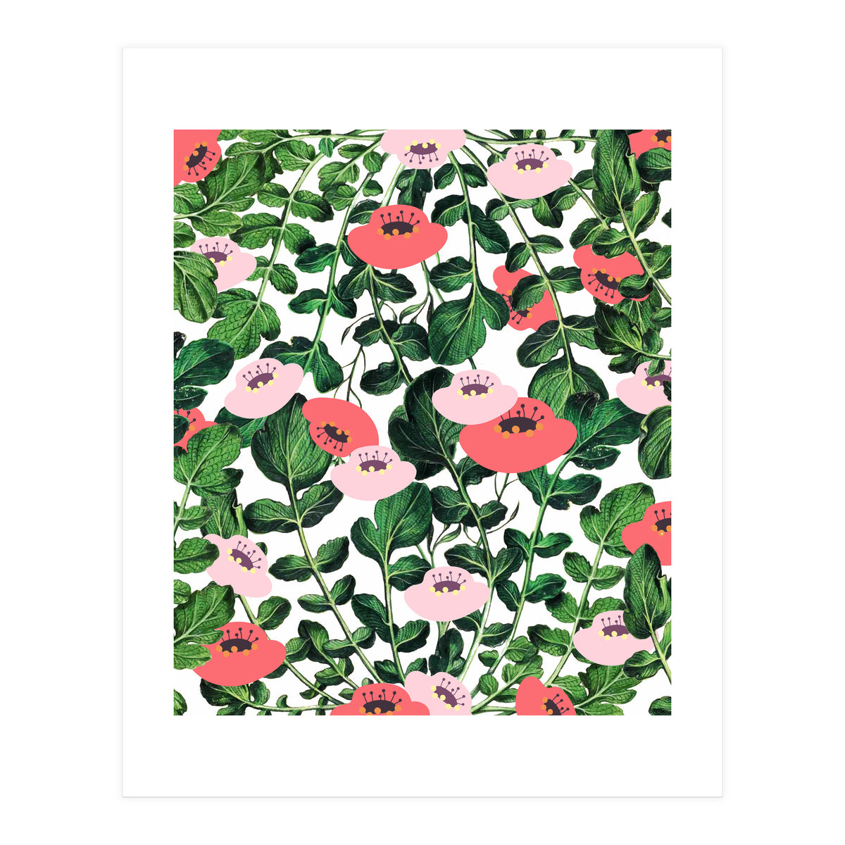 Parsnip & Poppies (Print Only)