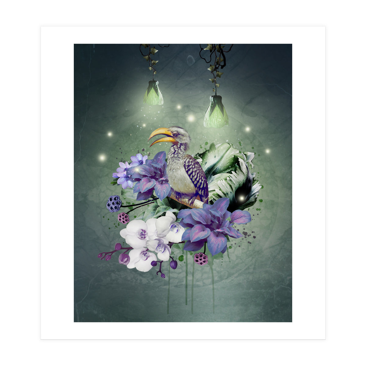 Floral Magic Hornbill  (Print Only)