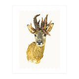Cc Animal 01 (Print Only) thumbnail