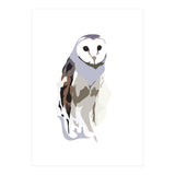 Owl (Print Only) thumbnail