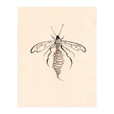 Wasp (Print Only) thumbnail