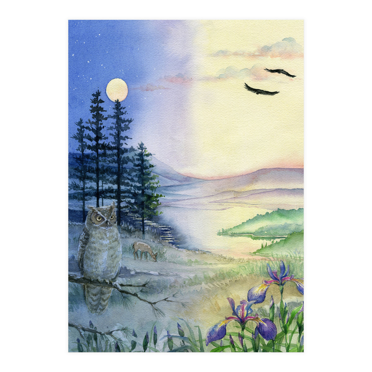 Owl & Twilight (Print Only)