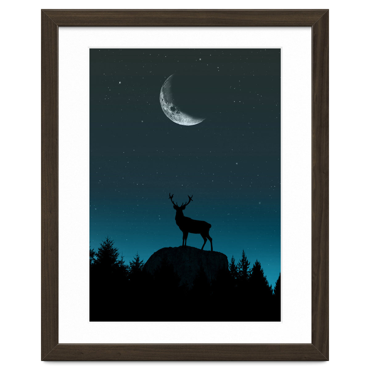 Wild Nature - Nocturne