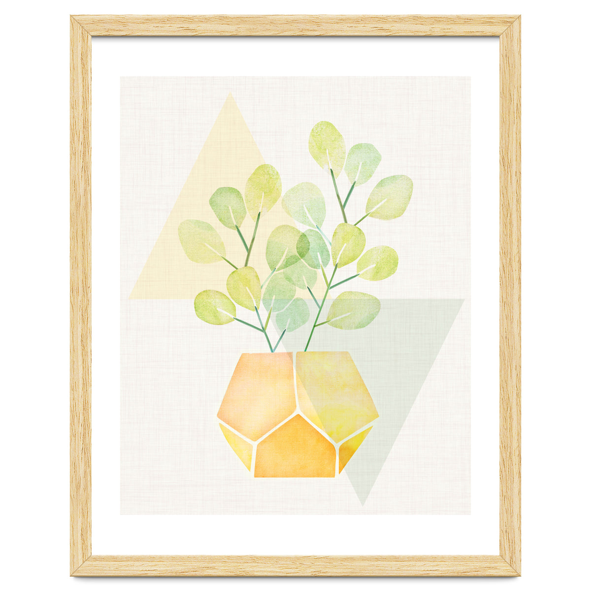 Geometry and House Plant