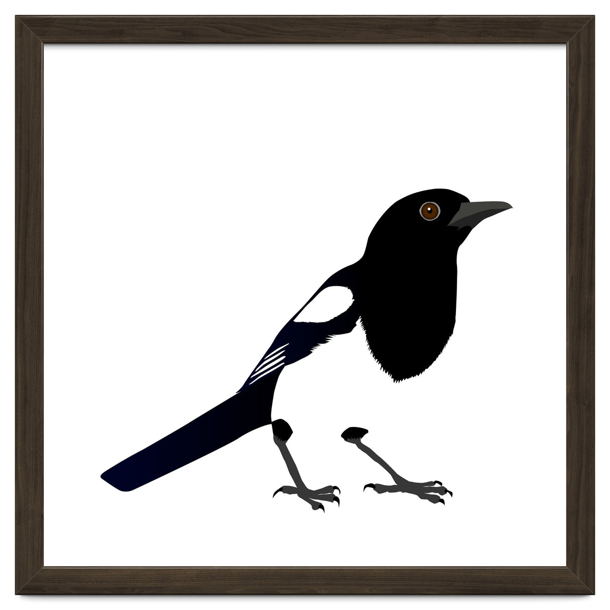Magpie