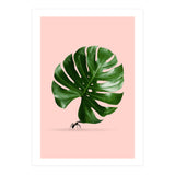 Monstera Ant (Print Only) thumbnail