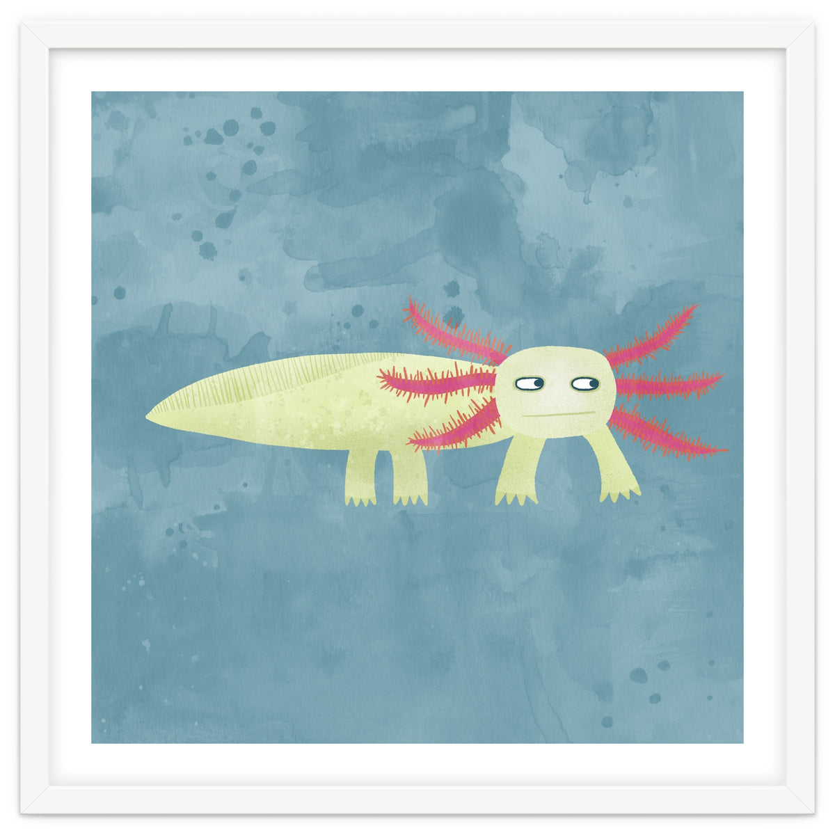 Axolotl