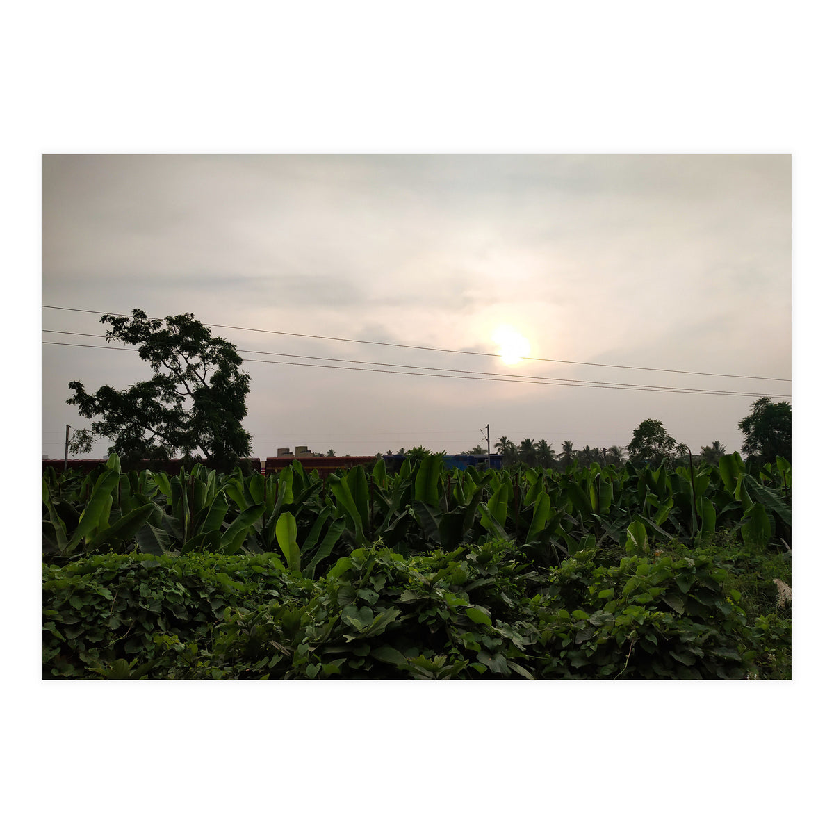 Never Ending Journey (Print Only)