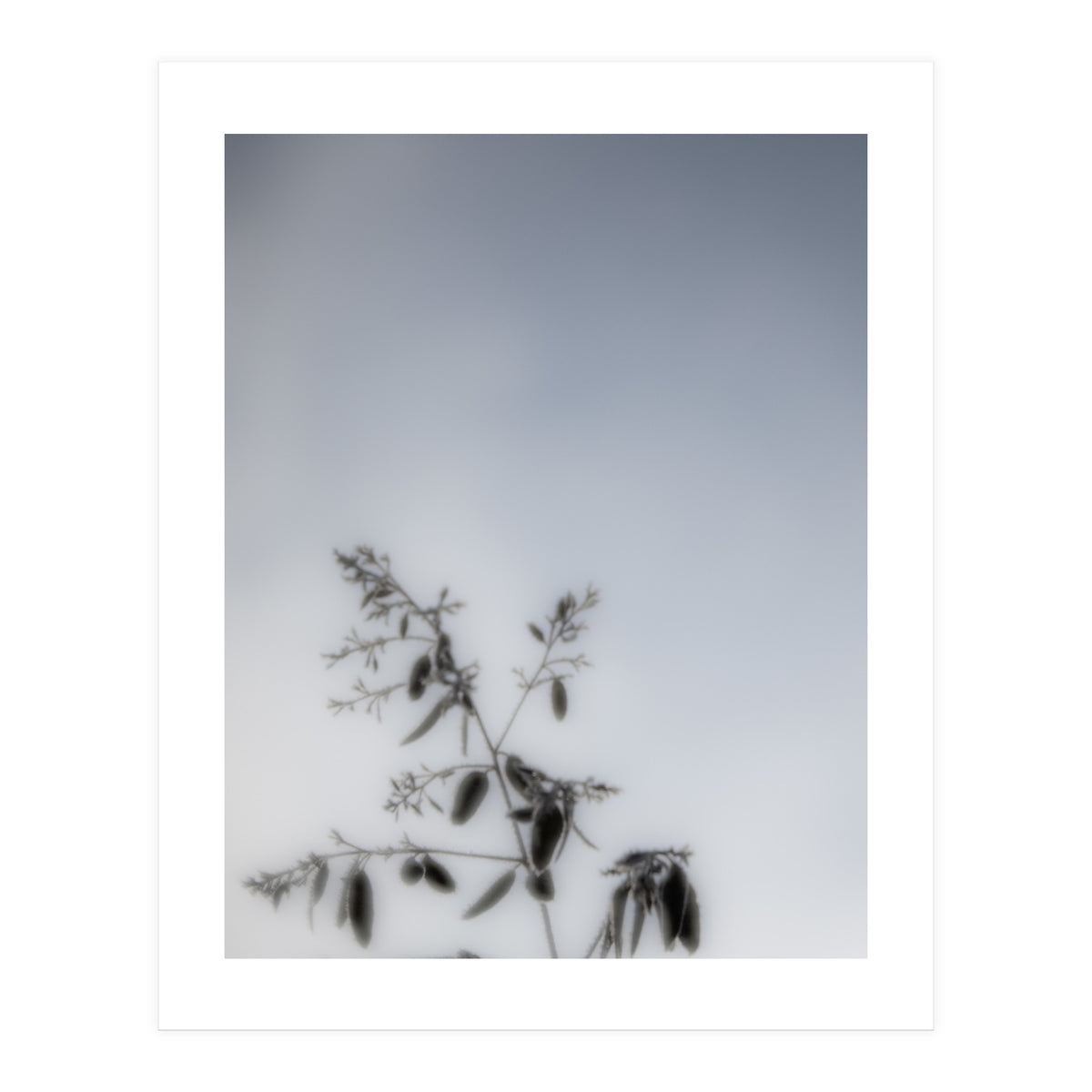 Forgotten Memories of Summer #17 (Print Only)