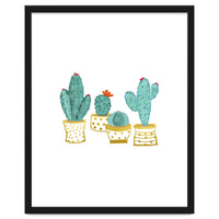 Cactus Garden V2