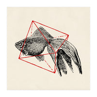 Fish In Geometrics III (Square) (Print Only)