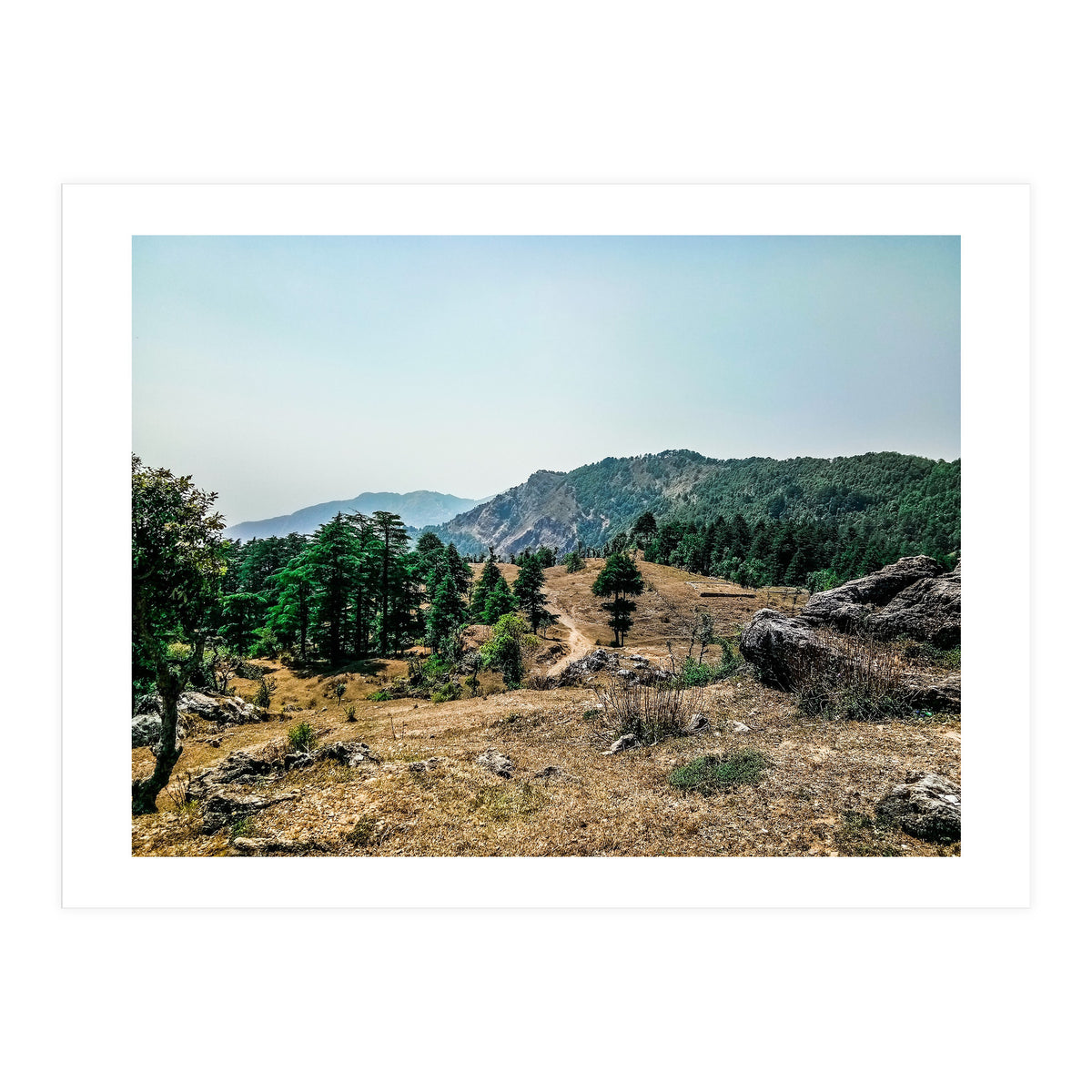 Let's Take A Walk (Print Only)