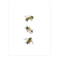 The 3 Bee's (Print Only)