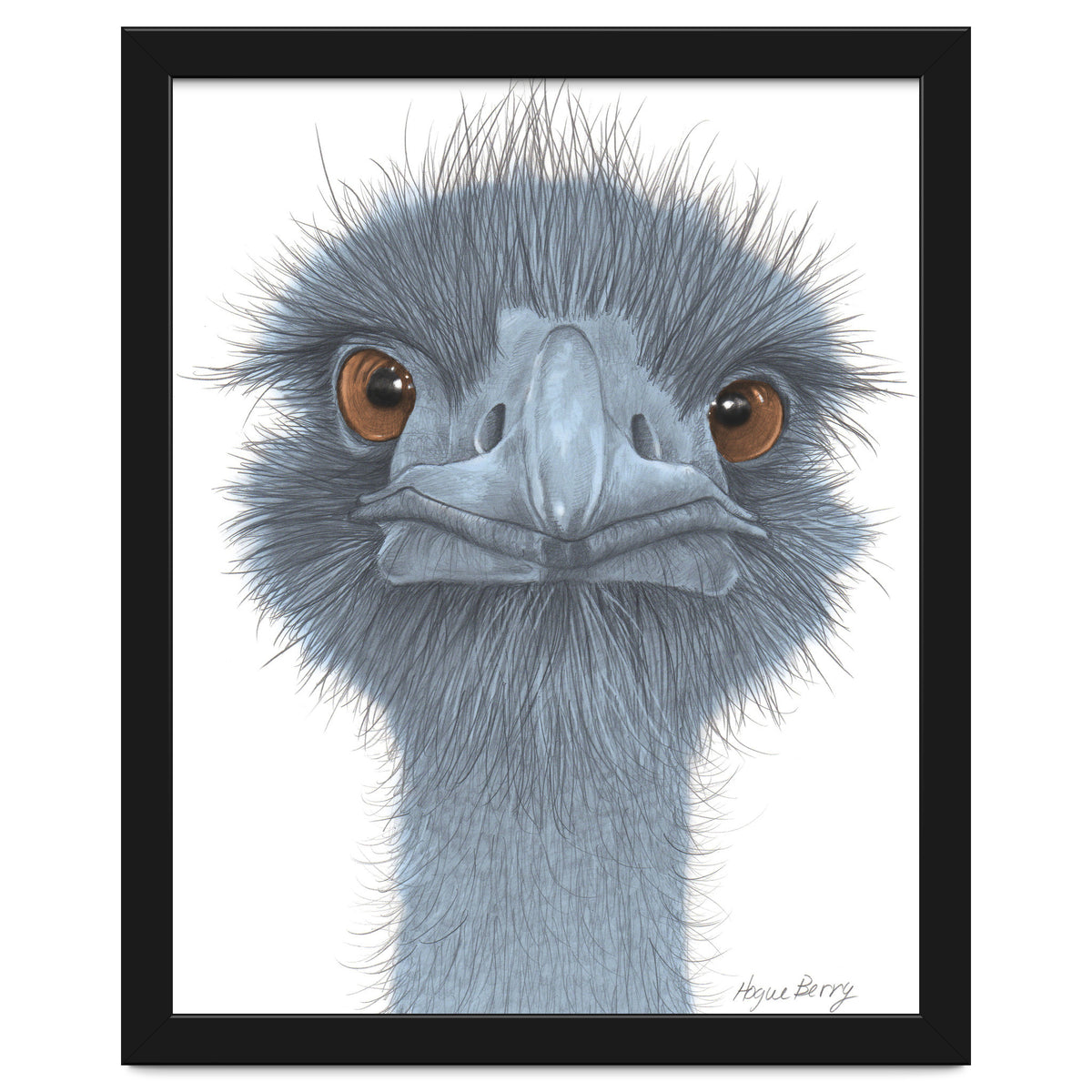 The Blue Emu